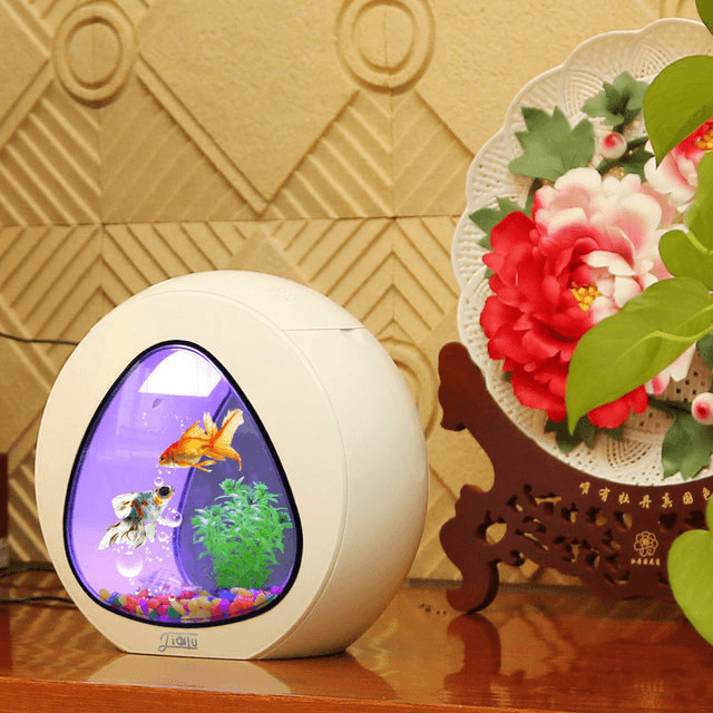 Product gallery 5