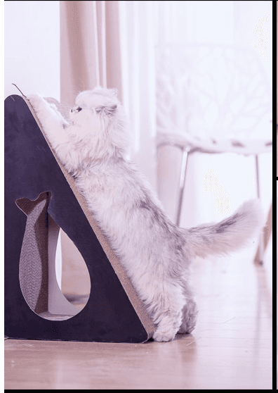 Product gallery 4