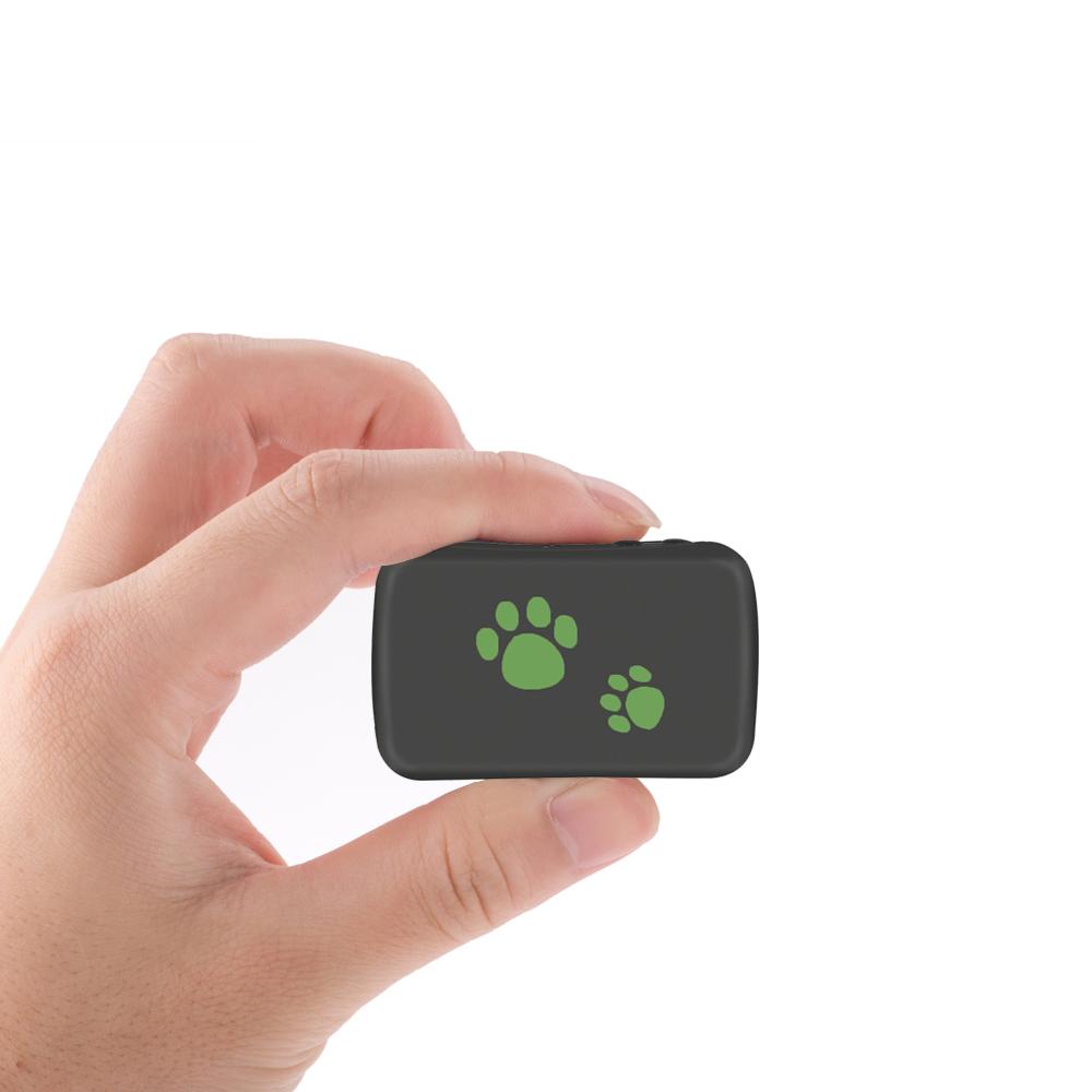 Product gallery 1