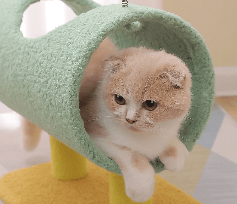Product thumb gallery 7