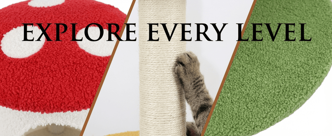 Product gallery 9